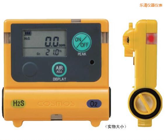樂(lè)清復(fù)合型氣體檢測(cè)器